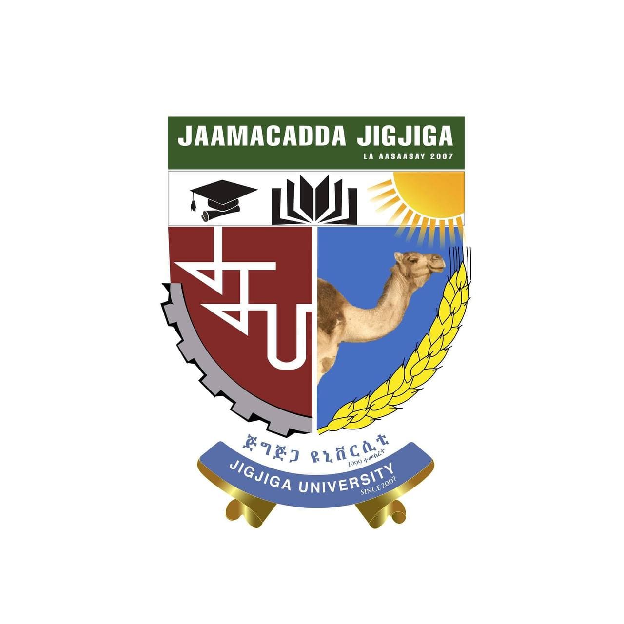 Jigjiga University